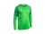 Hráčský dres NIDELO Player shirt L/S Nantes zelená
